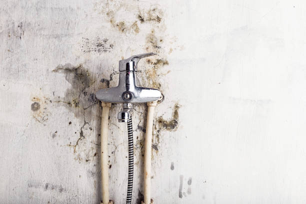 Best Post-Flood Mold Remediation in Vian, OK