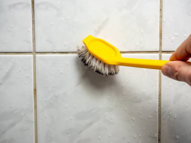 Best Bathroom Mold Remediation in Vian, OK