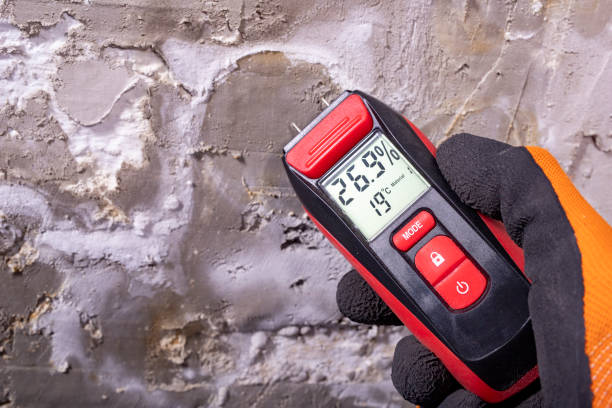Best Localized Mold Remediation (e.g., coastal areas, humid climates) in Vian, OK