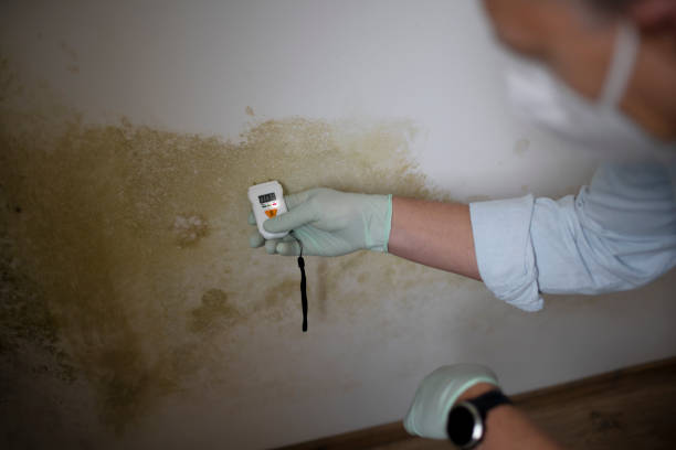 Best Post-Remediation Services in Vian, OK
