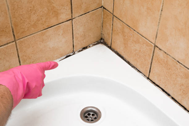 Best Mold Testing and Inspection Services in Vian, OK